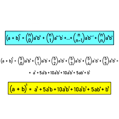 Who Taught the World the Binomial Expansion? Aryabhata or Newton?