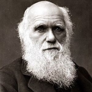 This world's paradise is on the path of Darwinism