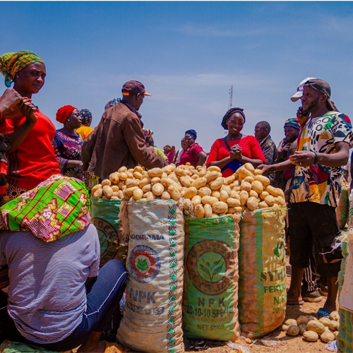 The rights to 'seeds' are being looted in Africa.